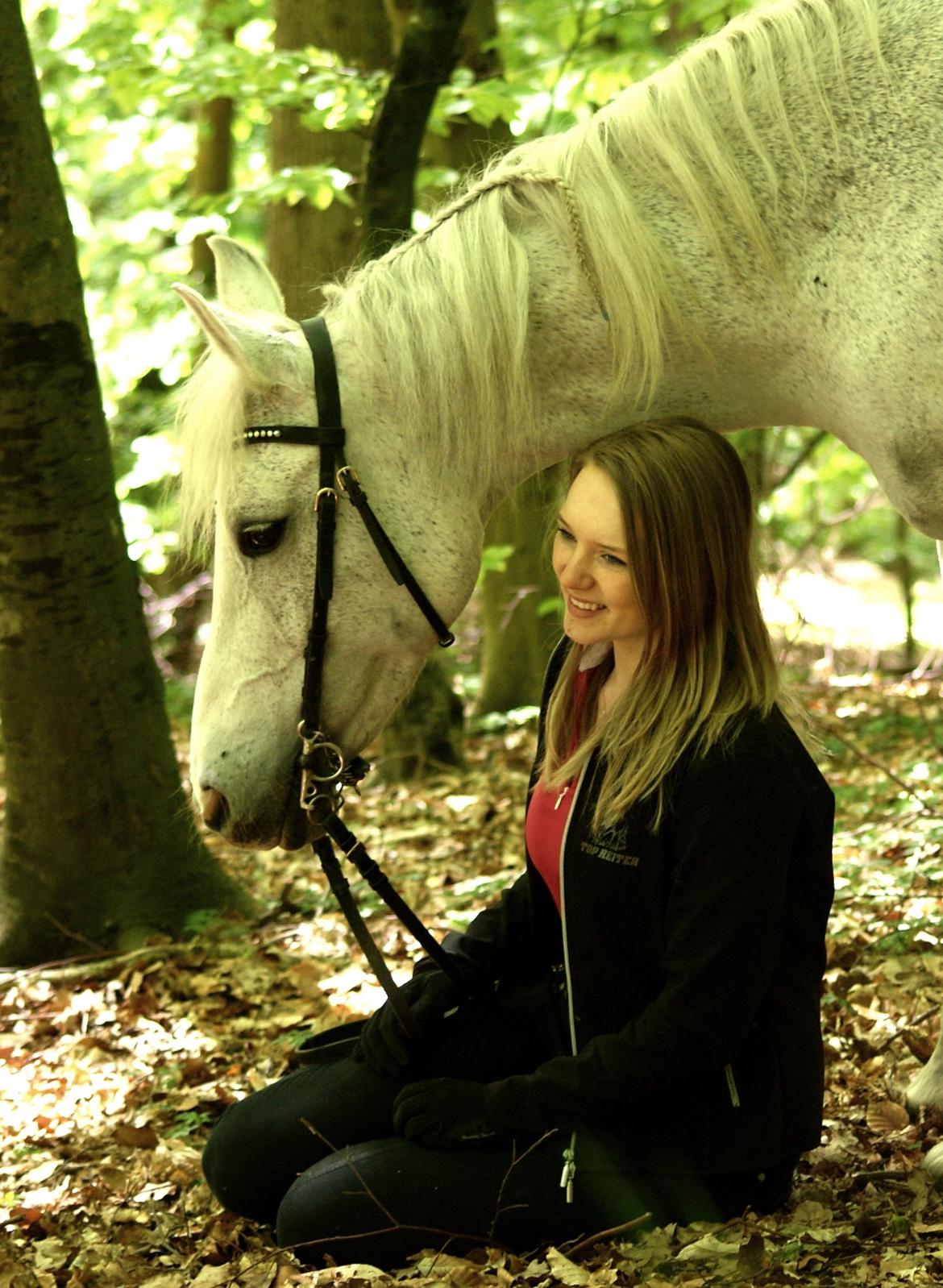 DSP Præstemarkens Mahogni |Honey| - Jeg elsker min smukke pony <3 billede 47