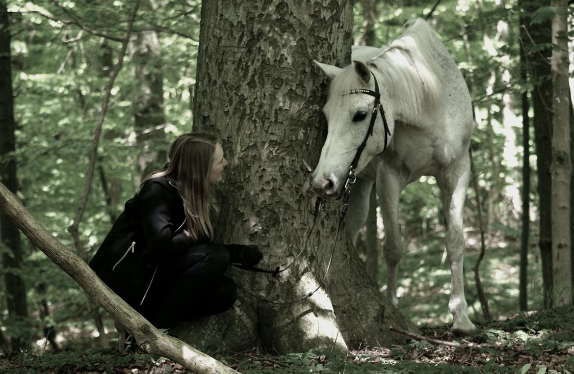 DSP Præstemarkens Mahogni |Honey| - Mig og min prinsesse - Honey´s fødselsdag <3 billede 38