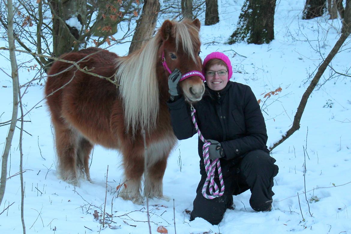Shetlænder Donna - 25/01-15 Mig og Donna. billede 15