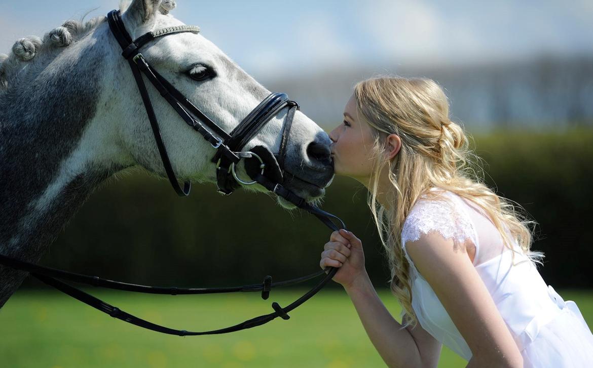Tysk Sportspony Rebel - Velkommen til Rebels profil. Billedet er fra min konfirmation <3 billede 1