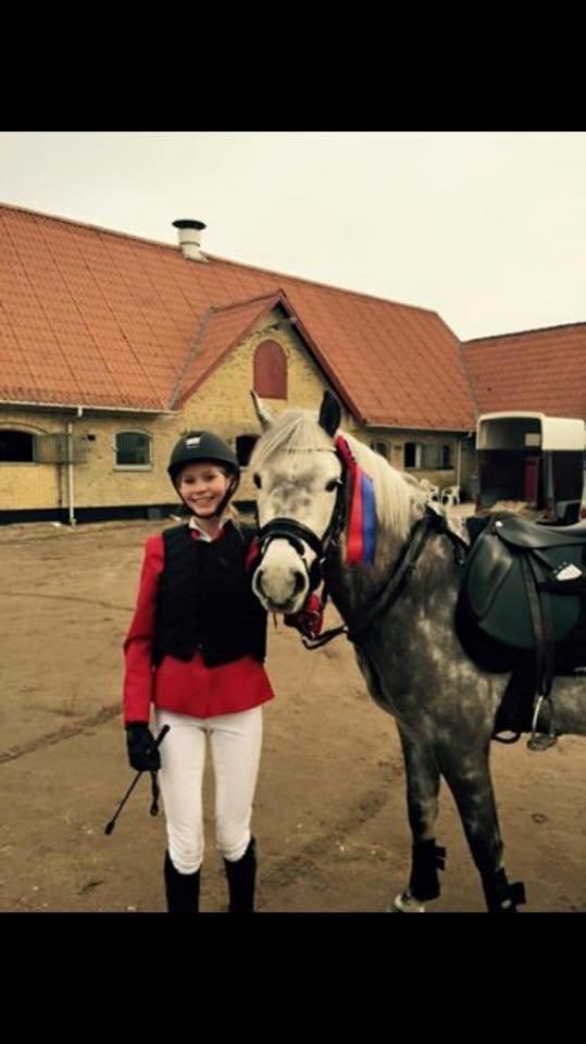 Tysk Sportspony Rebel - Fra vores andet stævne i Nørre Åby, vi red en fejlfri B0<3 billede 5