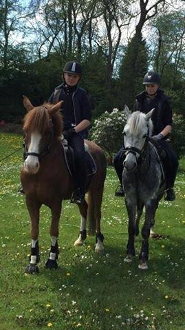 Tysk Sportspony Rebel - Anna og jeg skridtede hjem til mig og hilste på, vir ed 11,2 km den dag. <3 billede 16