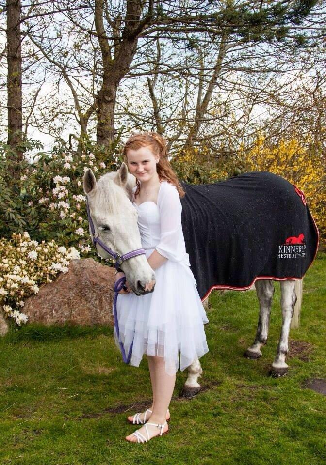 Anden særlig race Mr. Bento <3 billede 17