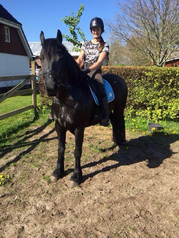 Frieser Griet Mieke billede 20