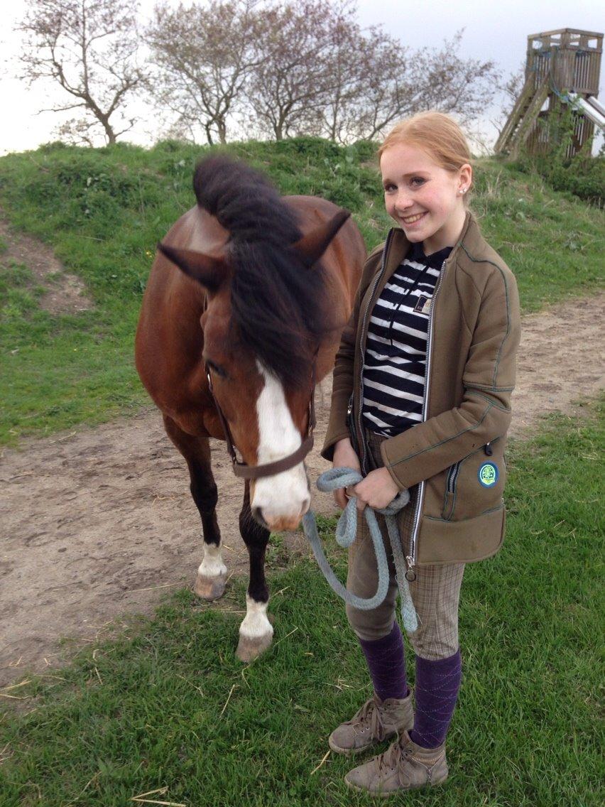 DSP Bæklunds Laredo billede 4