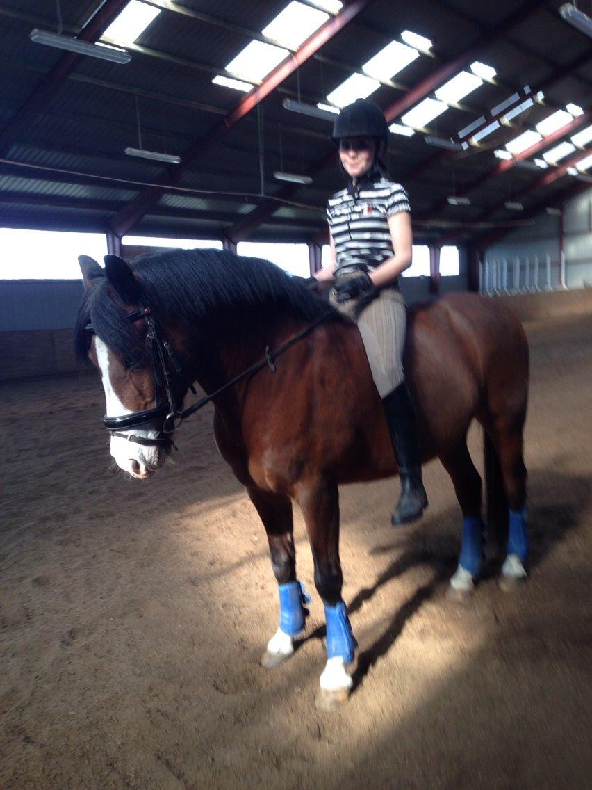 DSP Bæklunds Laredo billede 6