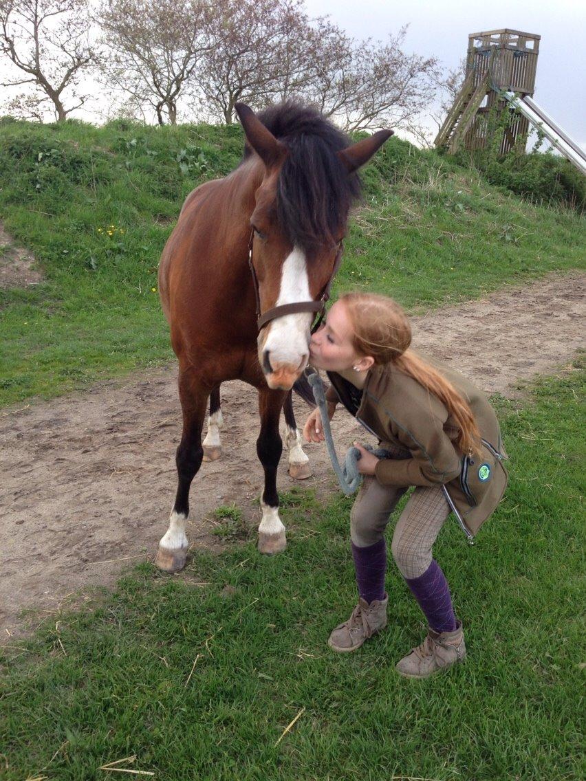 DSP Bæklunds Laredo billede 5