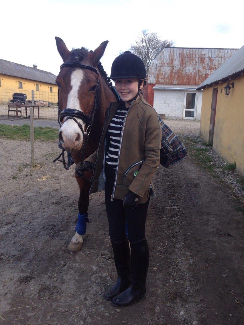 DSP Bæklunds Laredo billede 8