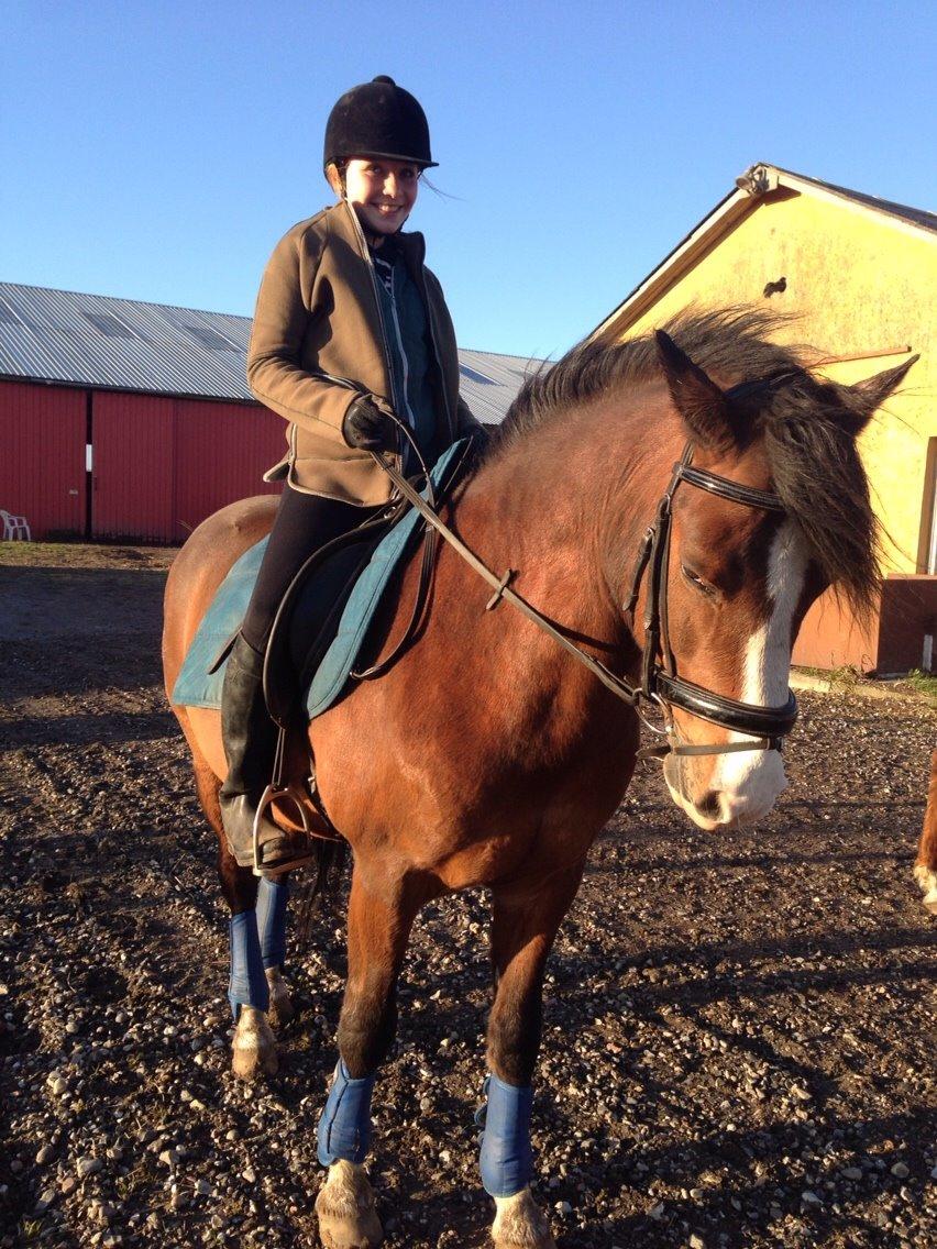 DSP Bæklunds Laredo billede 7