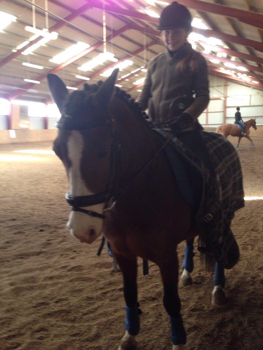 DSP Bæklunds Laredo billede 9