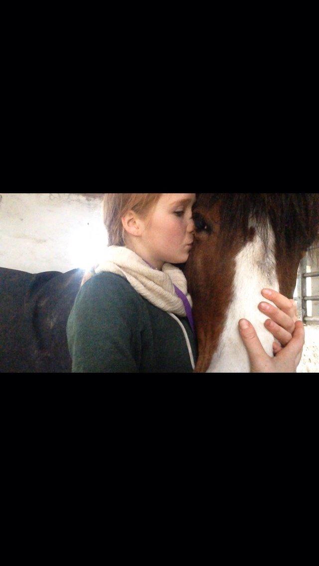 DSP Bæklunds Laredo billede 10