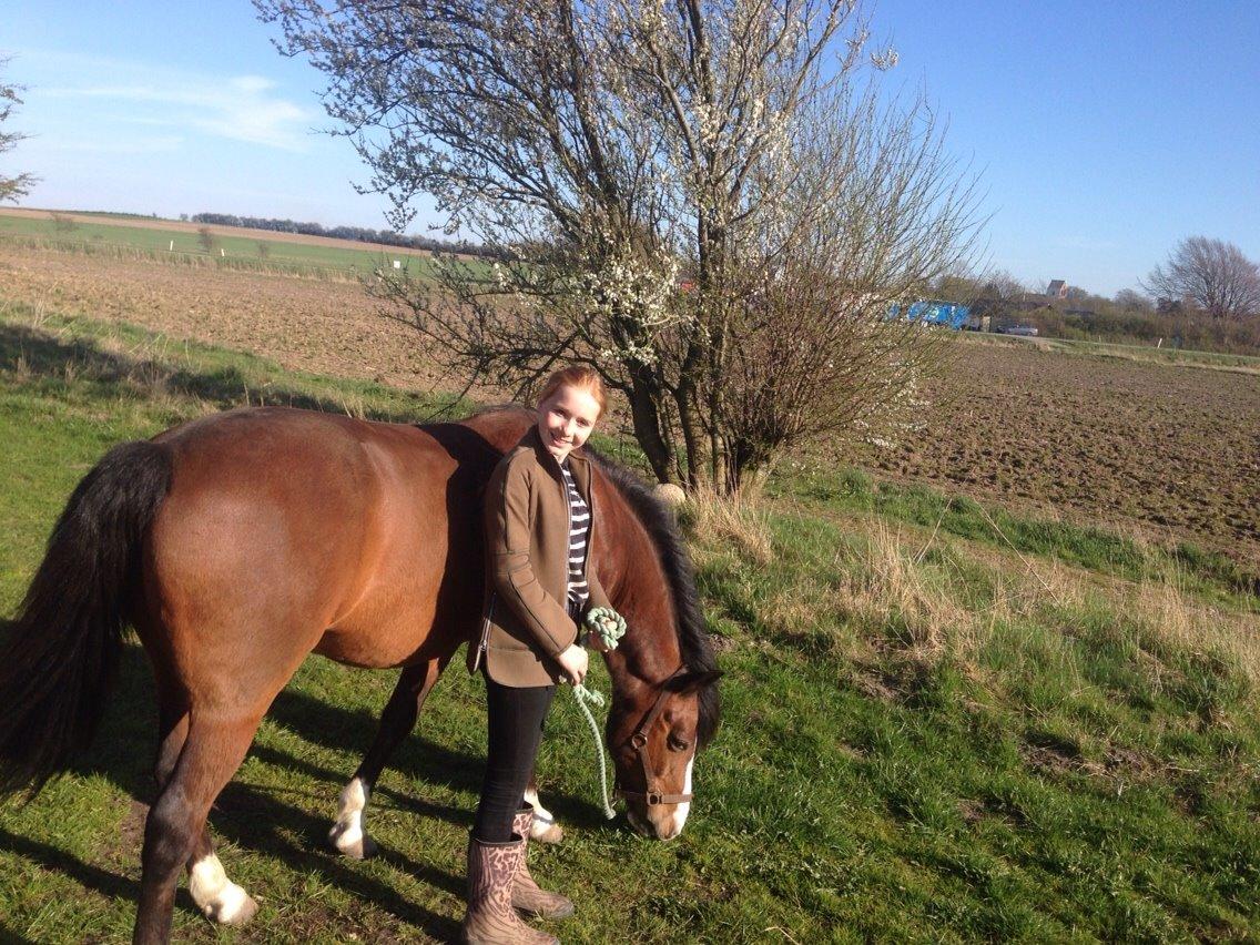 DSP Bæklunds Laredo billede 16