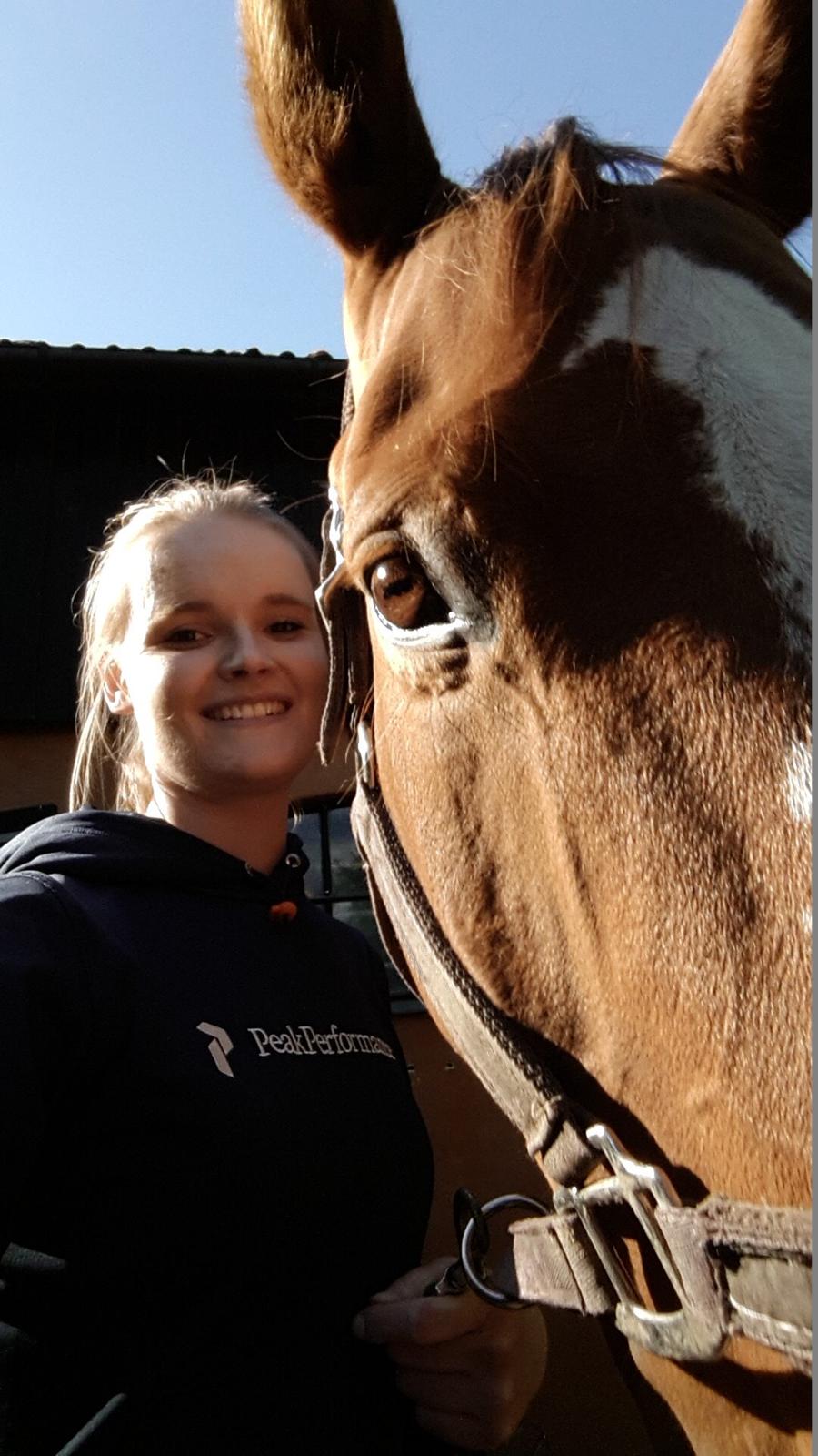 Dansk Varmblod Lester Estelle - Maj 15 billede 10