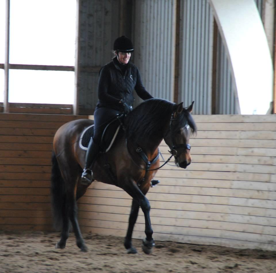 Pura Raza Española Teofilo Z billede 2