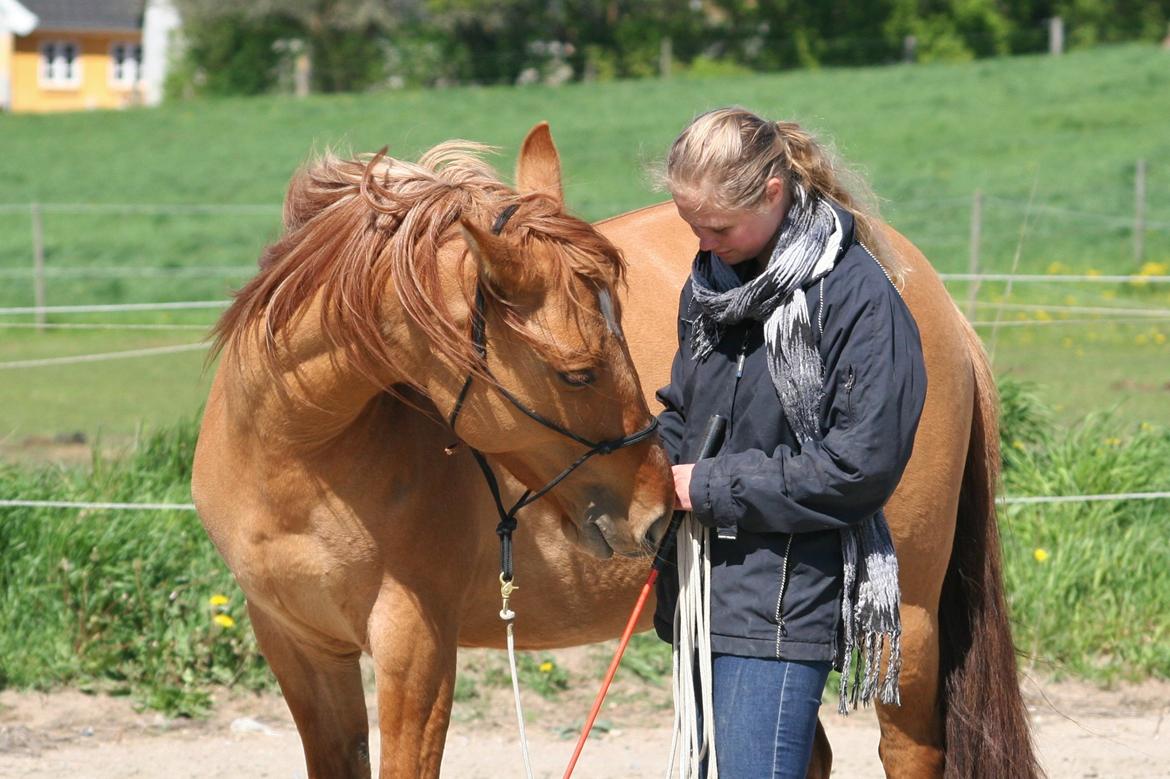 Anden særlig race Ibi billede 12