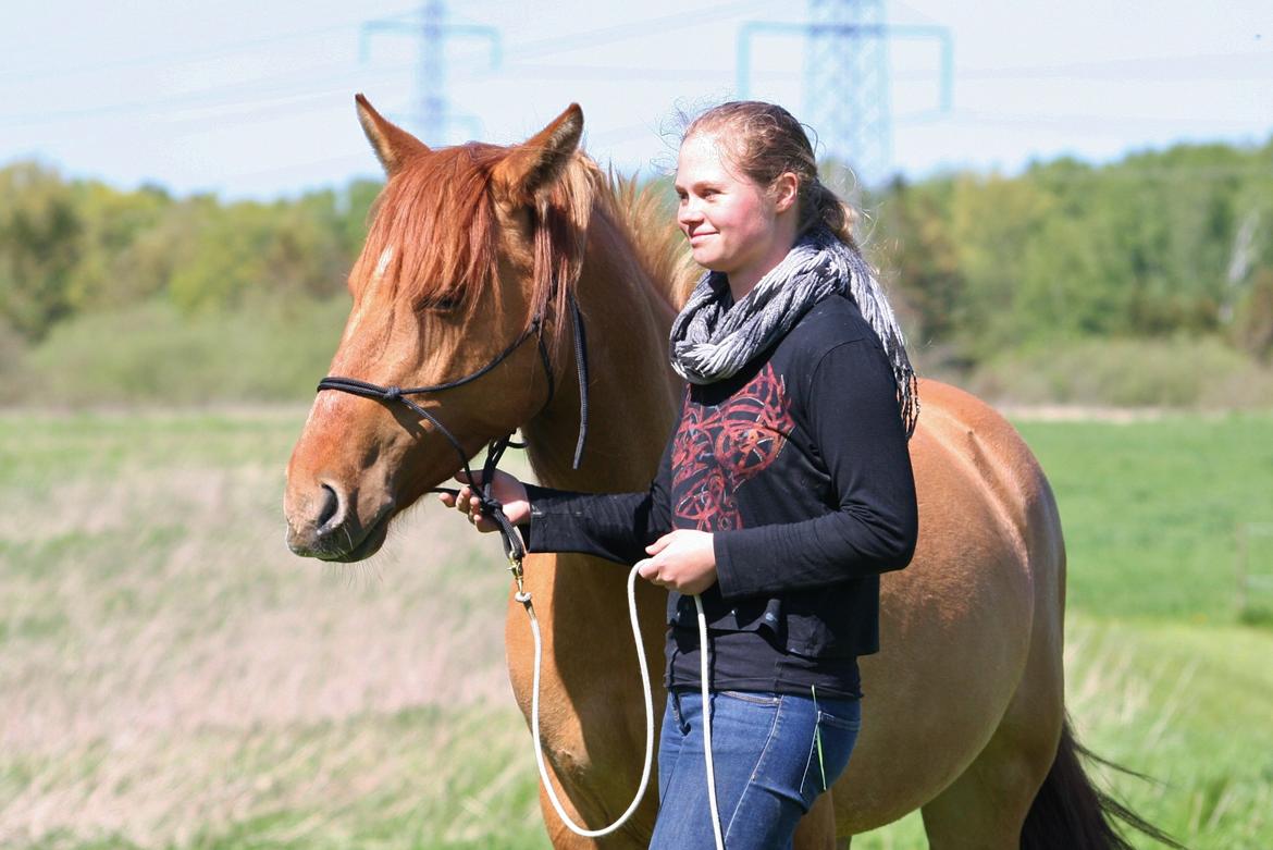 Anden særlig race Ibi billede 14