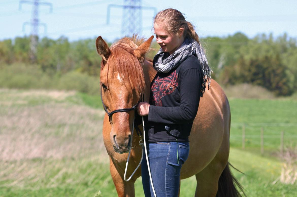 Anden særlig race Ibi billede 15