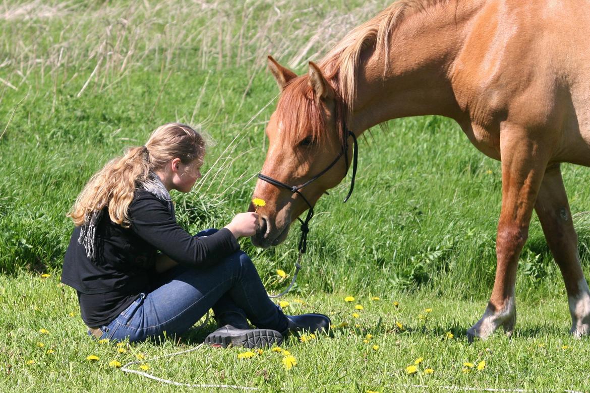 Anden særlig race Ibi billede 16