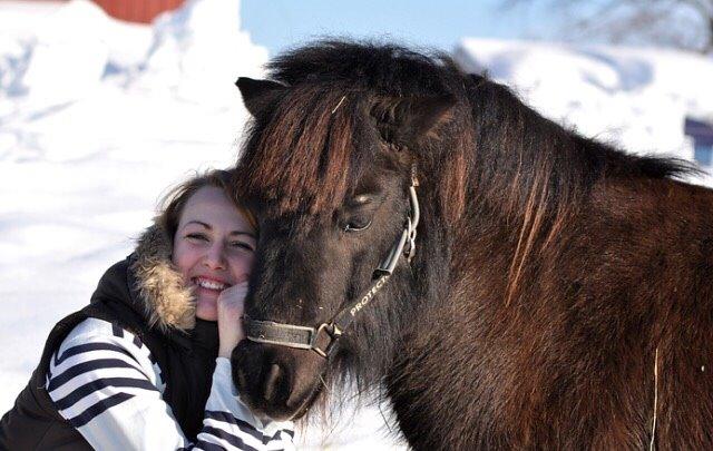 Shetlænder Hamilton <3 billede 7