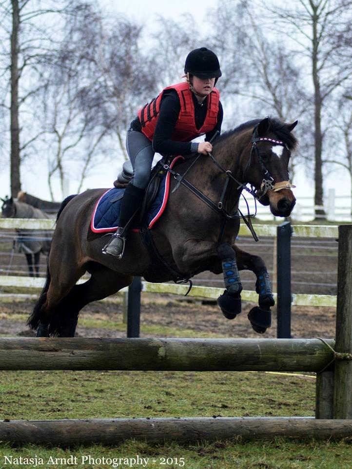 New Forest Søndermarken's Bojana billede 4