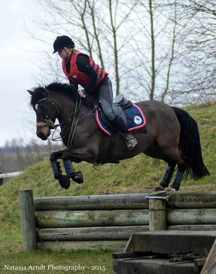 New Forest Søndermarken's Bojana billede 14