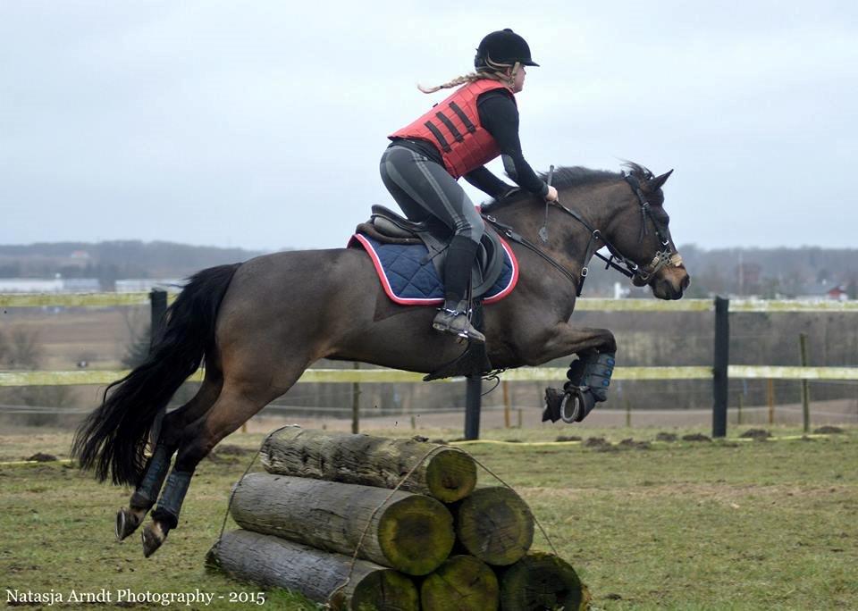 New Forest Søndermarken's Bojana billede 7