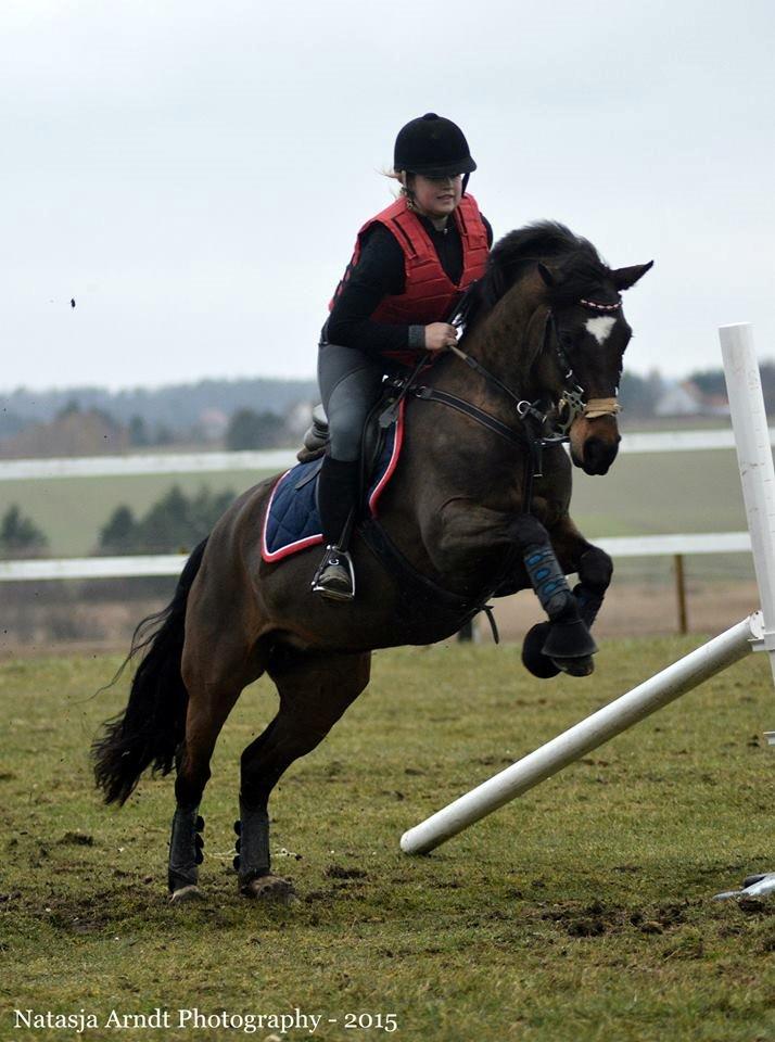 New Forest Søndermarken's Bojana billede 20