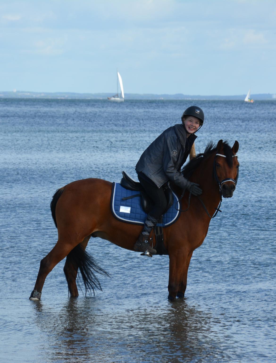 Anden særlig race Steven Seagal (Baby Drengen) - I VANDET FOR FØRSTE GANG! -  drengen går da bare lige i! billede 7