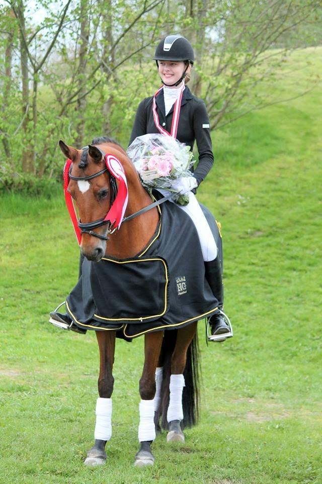 DSP Nymfe Stengaard (B-pony) - Distriktsmesterskab for hold 2015 - distrikt 1  billede 1