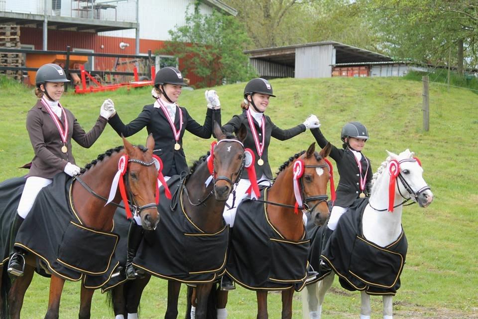 DSP Nymfe Stengaard (B-pony) - Distriktsmesterskab for hold 2015 - distrikt 1  billede 3