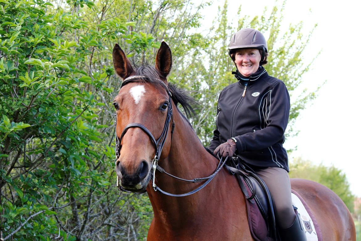 Dansk Varmblod Klostervangs nautilus billede 1
