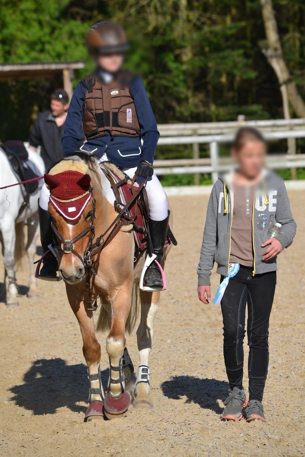 Hollandsk Sportspony Capello Ivo<3 (Min Pony) - Emilie med som staldhjælper <3  billede 45