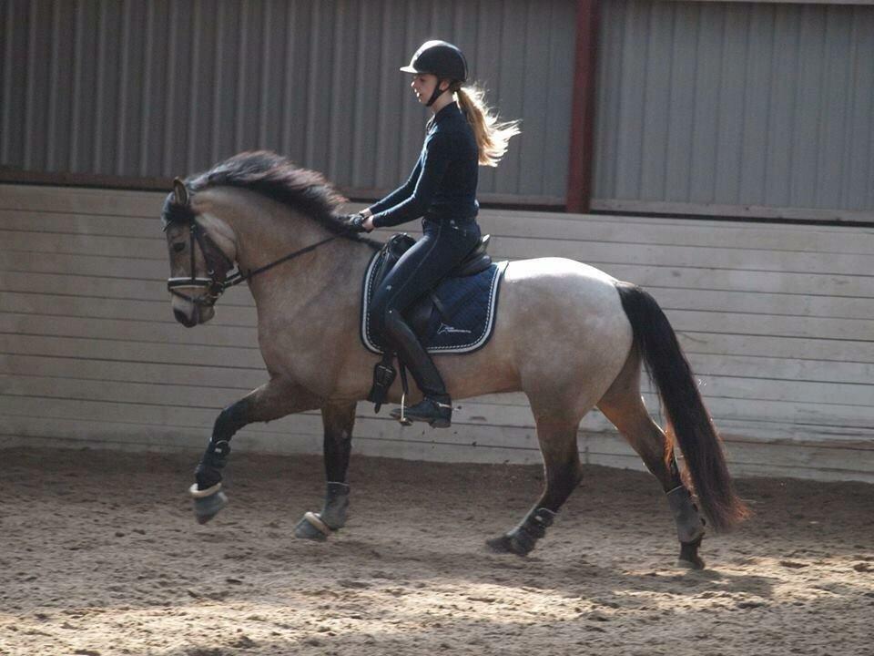 Connemara Skærgårdens Marvelous Night billede 18