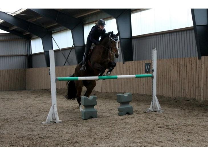 {{currentPhoto.altText}} billede {{currentPhoto.number}}