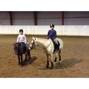 Anden særlig race Topper