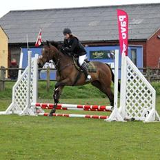 Fuldblod (XX) Nightstar xx