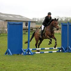 Fuldblod (XX) Nightstar xx