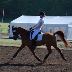 Anden særlig race Red Magic <3