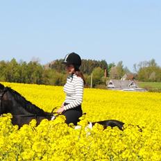Anden særlig race Galgebakken's Samantha