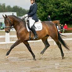 Anden særlig race Mokaia