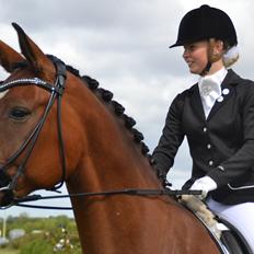 Anden særlig race Chanti