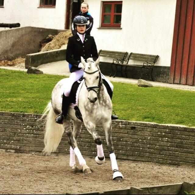 DSP Nørlunds Acord - stævne på spip billede 9