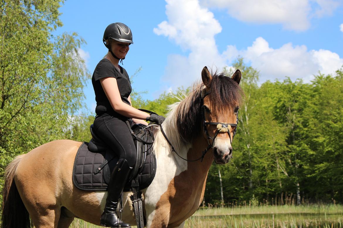 Anden særlig race Amigo  billede 10