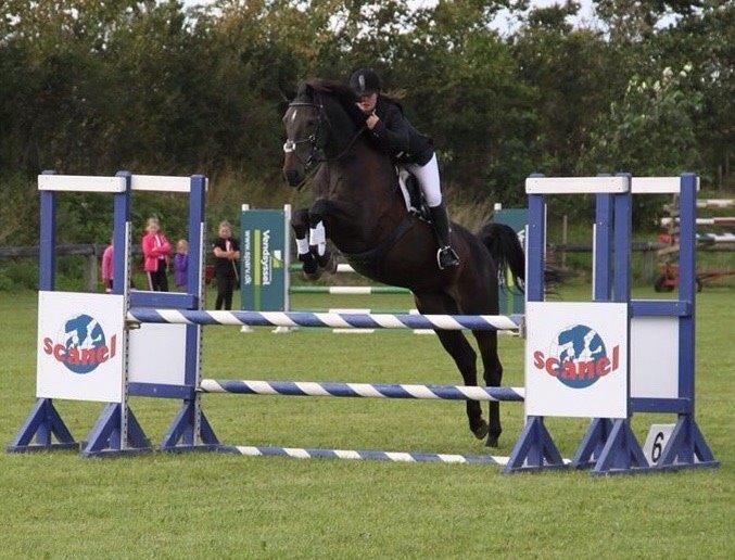 Anden særlig race Legends miss laya billede 13