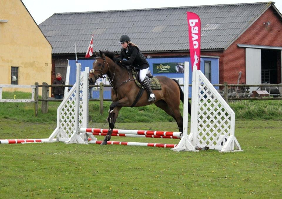 Fuldblod (XX) Nightstar xx - Hans første stævne 50 cm - Ørnhøj rideklub 9-5-2015 billede 2