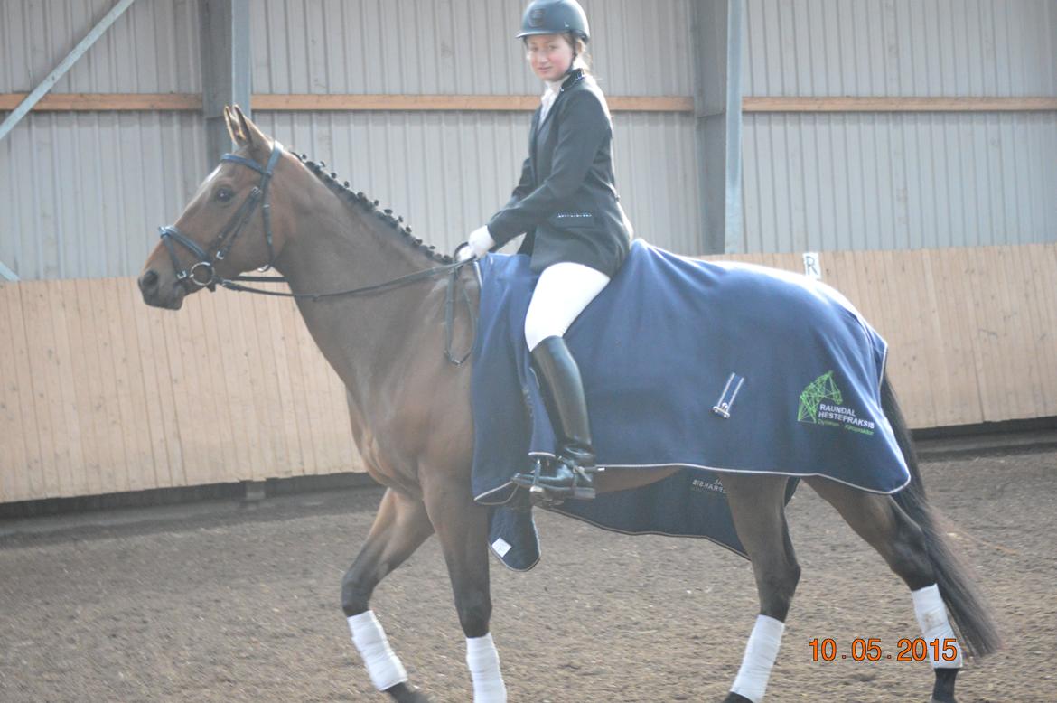 Fuldblod (XX) Nightstar xx - Nightstar med vores sponser udstyr fra Raundal hestepraksis billede 13