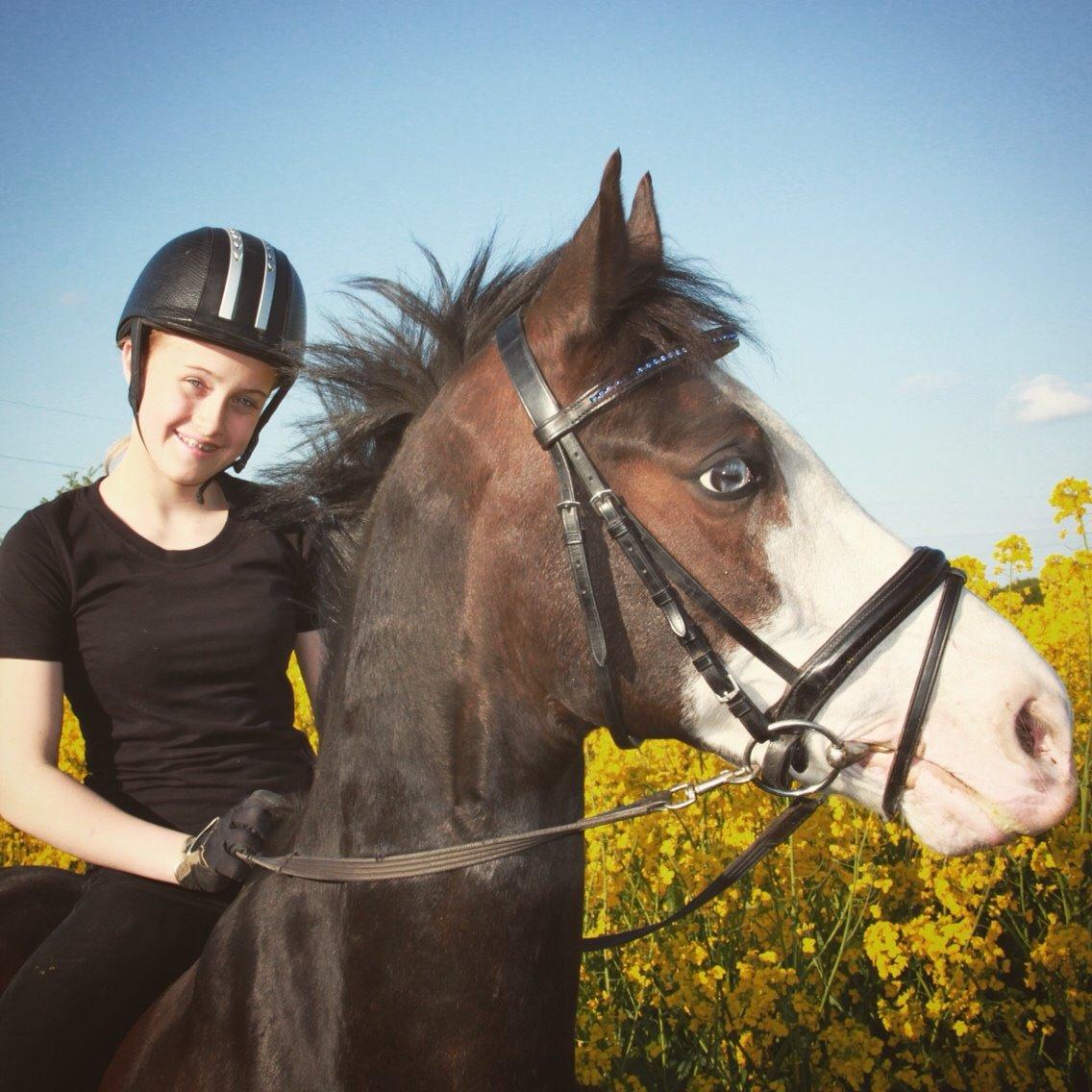 Anden særlig race | Bjeldbaks Bingo - en tur i marken maj 2015 :) billede 16