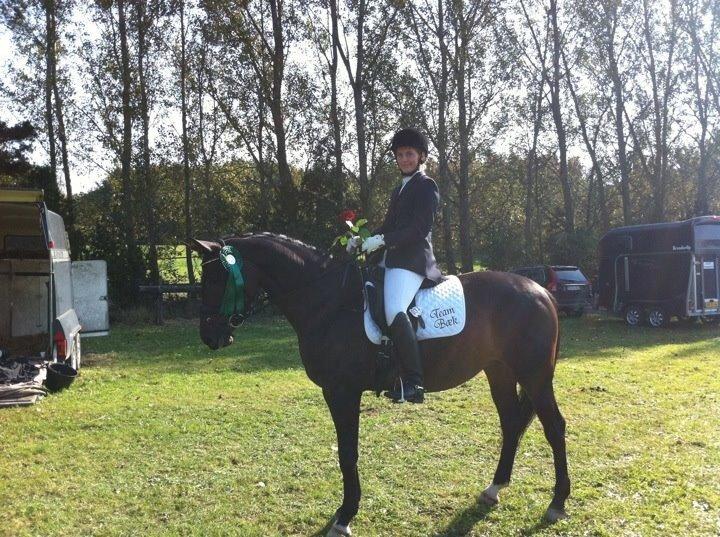 Anden særlig race Mokaia billede 5