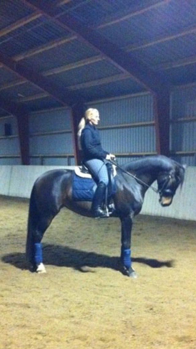 Anden særlig race Mokaia billede 7