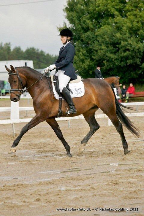 Anden særlig race Mokaia billede 3